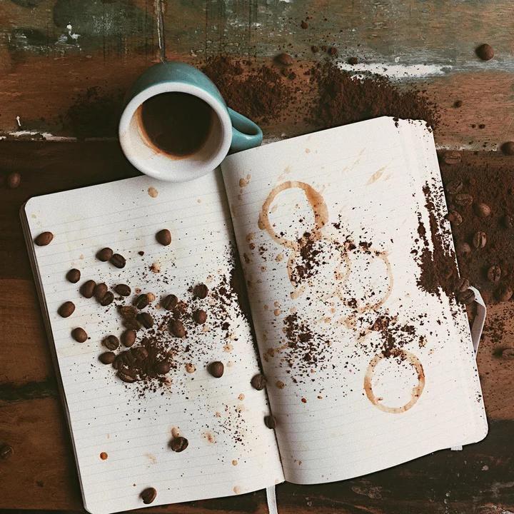From bean to cup - Workshop