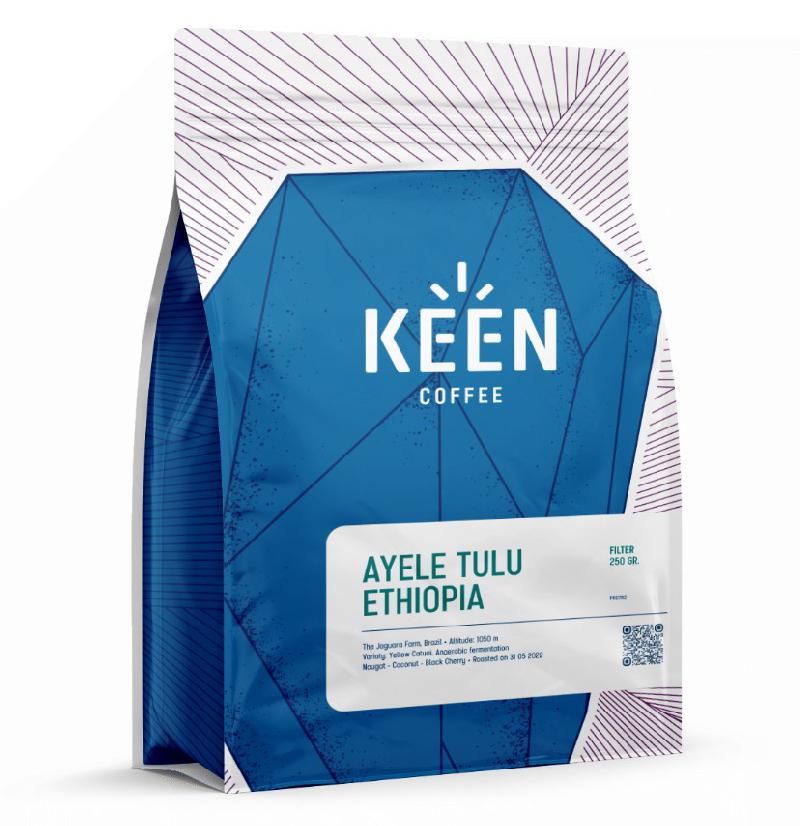 Ayele Tulu Ethiopia
