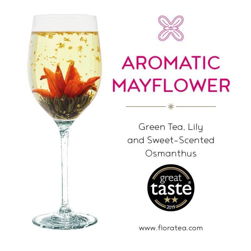 Aromatic Mayflower 2 stuks