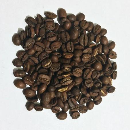 Mr. Coffee Nicaraqua Aurora